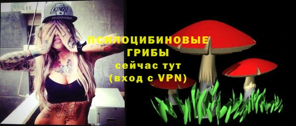 таблы Алексеевка