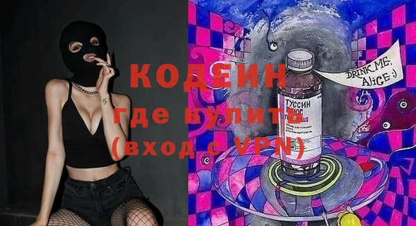 гашик Алексин
