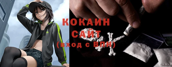 тгк Алзамай