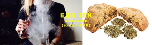 тгк Алзамай