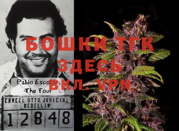 тгк Алзамай