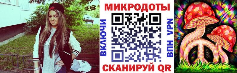 Купить закладки Петровск-Забайкальский Псилоцибиновые грибы GOLDEN TEACHER