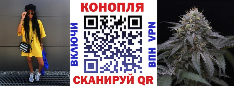 Купить Петровск-Забайкальский Конопля ГИДРОПОН